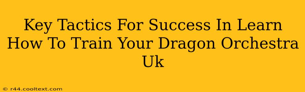 Key Tactics For Success In Learn How To Train Your Dragon Orchestra Uk