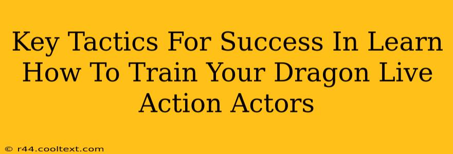 Key Tactics For Success In Learn How To Train Your Dragon Live Action Actors