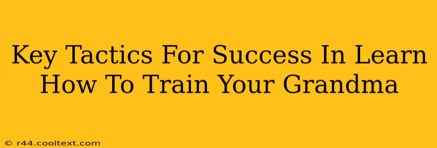 Key Tactics For Success In Learn How To Train Your Grandma