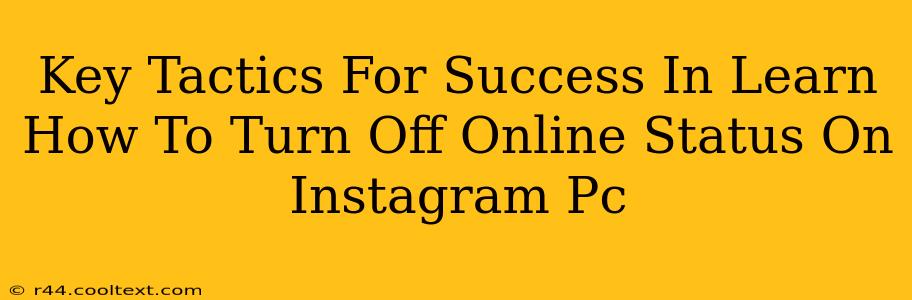 Key Tactics For Success In Learn How To Turn Off Online Status On Instagram Pc