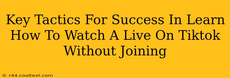 Key Tactics For Success In Learn How To Watch A Live On Tiktok Without Joining