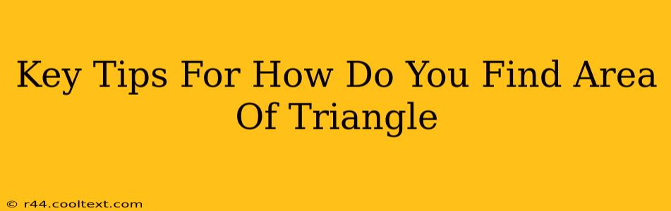 Key Tips For How Do You Find Area Of Triangle