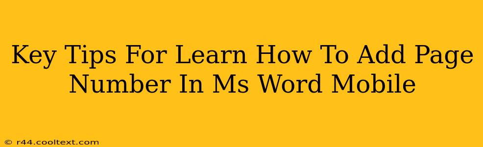 Key Tips For Learn How To Add Page Number In Ms Word Mobile