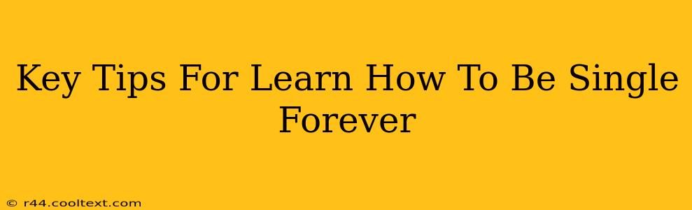 Key Tips For Learn How To Be Single Forever