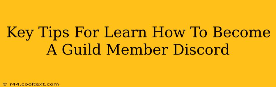 Key Tips For Learn How To Become A Guild Member Discord