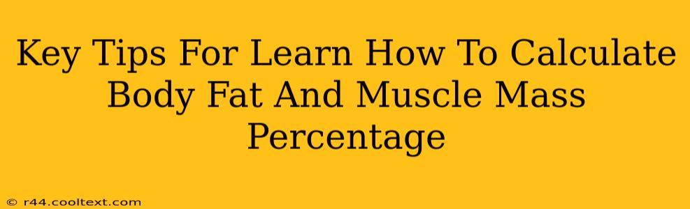 Key Tips For Learn How To Calculate Body Fat And Muscle Mass Percentage