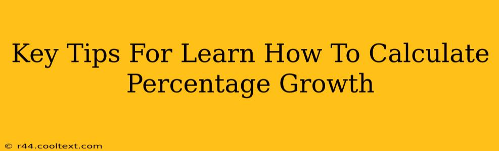 Key Tips For Learn How To Calculate Percentage Growth