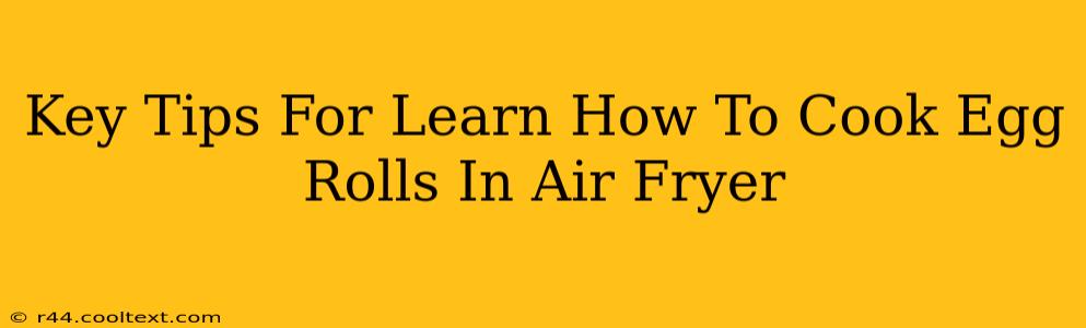 Key Tips For Learn How To Cook Egg Rolls In Air Fryer