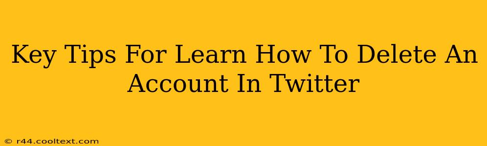 Key Tips For Learn How To Delete An Account In Twitter