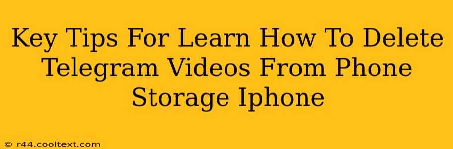 Key Tips For Learn How To Delete Telegram Videos From Phone Storage Iphone