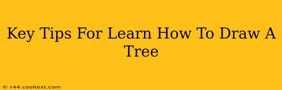 Key Tips For Learn How To Draw A Tree