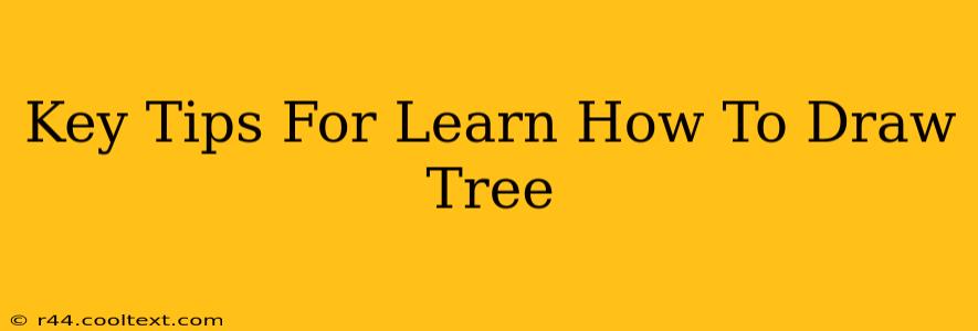 Key Tips For Learn How To Draw Tree