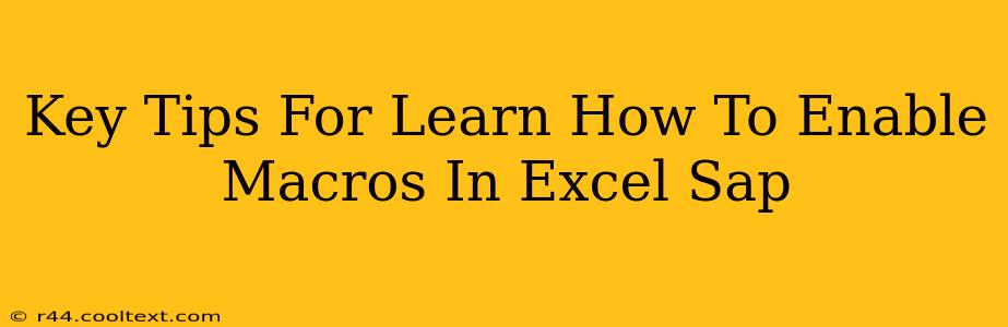 Key Tips For Learn How To Enable Macros In Excel Sap