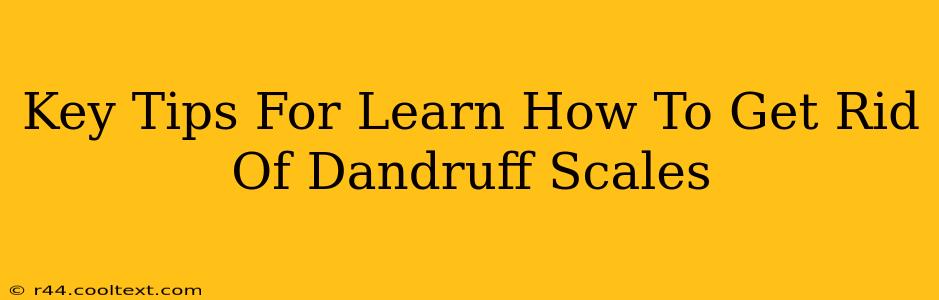 Key Tips For Learn How To Get Rid Of Dandruff Scales