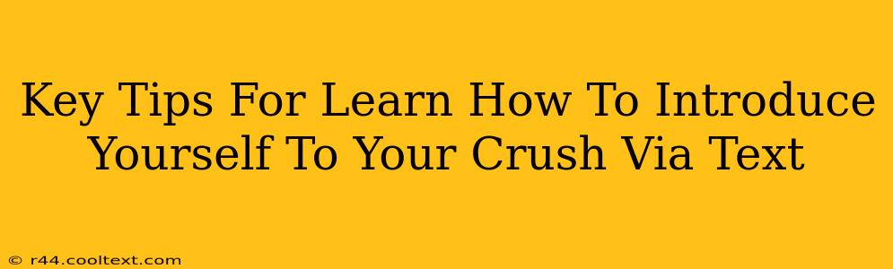 Key Tips For Learn How To Introduce Yourself To Your Crush Via Text