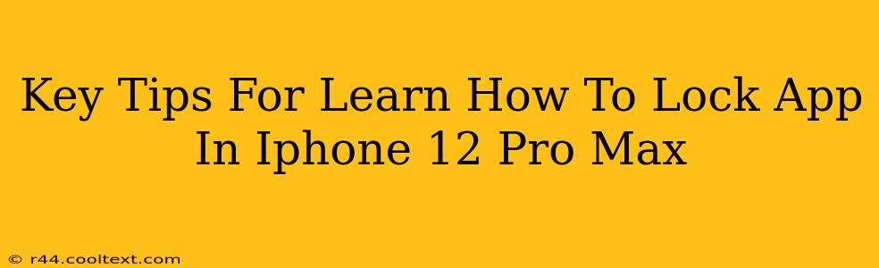 Key Tips For Learn How To Lock App In Iphone 12 Pro Max