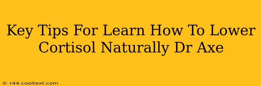 Key Tips For Learn How To Lower Cortisol Naturally Dr Axe