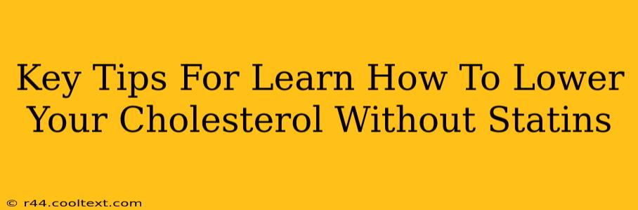 Key Tips For Learn How To Lower Your Cholesterol Without Statins