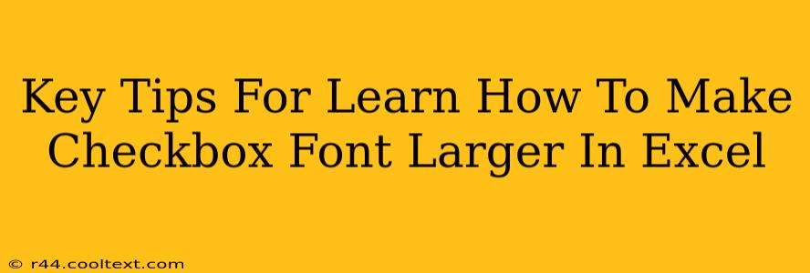 Key Tips For Learn How To Make Checkbox Font Larger In Excel