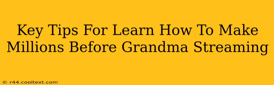 Key Tips For Learn How To Make Millions Before Grandma Streaming