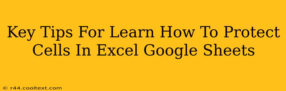 Key Tips For Learn How To Protect Cells In Excel Google Sheets