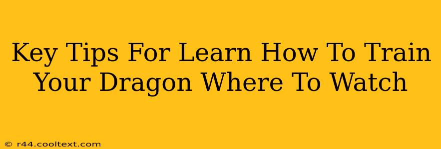 Key Tips For Learn How To Train Your Dragon Where To Watch