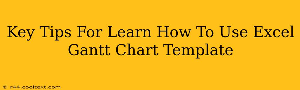 Key Tips For Learn How To Use Excel Gantt Chart Template