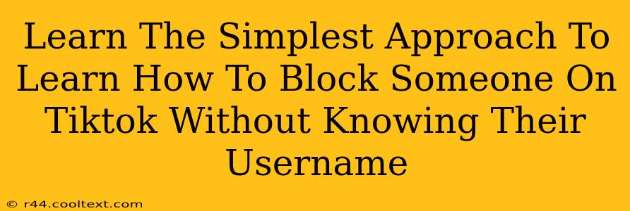Learn The Simplest Approach To Learn How To Block Someone On Tiktok Without Knowing Their Username