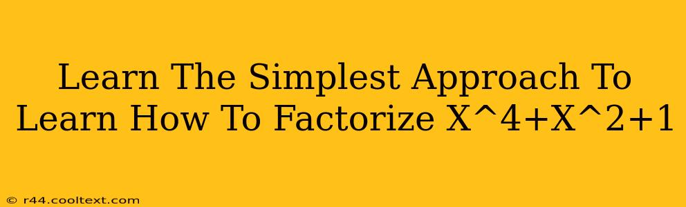 Learn The Simplest Approach To Learn How To Factorize X^4+X^2+1