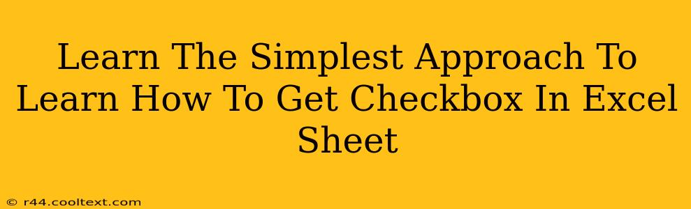 Learn The Simplest Approach To Learn How To Get Checkbox In Excel Sheet