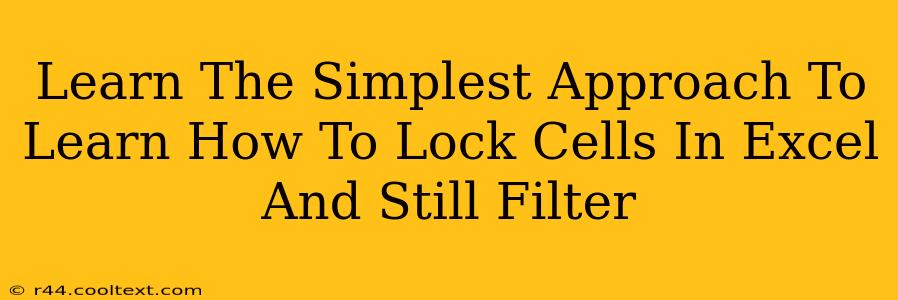 Learn The Simplest Approach To Learn How To Lock Cells In Excel And Still Filter