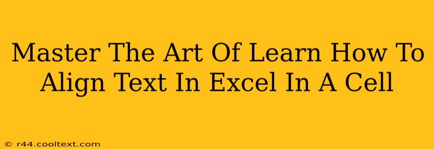 Master The Art Of Learn How To Align Text In Excel In A Cell