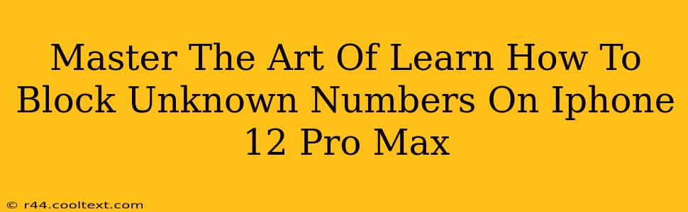 Master The Art Of Learn How To Block Unknown Numbers On Iphone 12 Pro Max