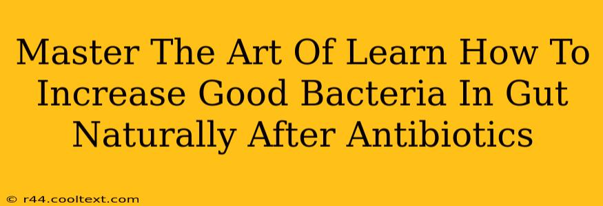 Master The Art Of Learn How To Increase Good Bacteria In Gut Naturally After Antibiotics