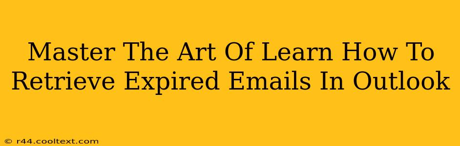 Master The Art Of Learn How To Retrieve Expired Emails In Outlook