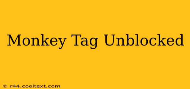 Monkey Tag Unblocked