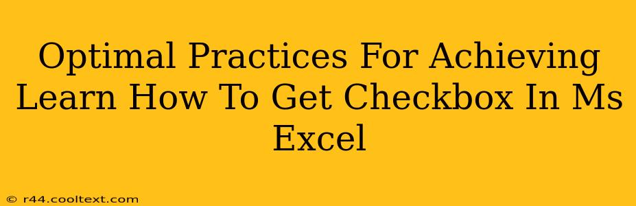 Optimal Practices For Achieving Learn How To Get Checkbox In Ms Excel