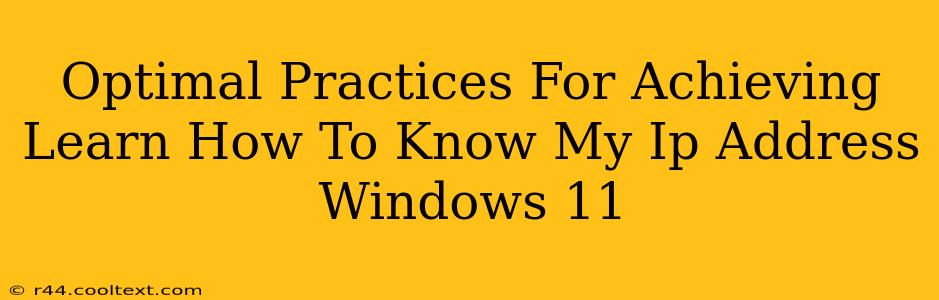 Optimal Practices For Achieving Learn How To Know My Ip Address Windows 11