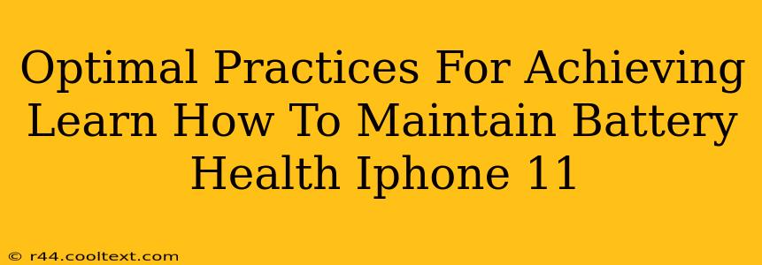 Optimal Practices For Achieving Learn How To Maintain Battery Health Iphone 11