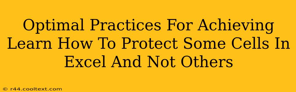 Optimal Practices For Achieving Learn How To Protect Some Cells In Excel And Not Others