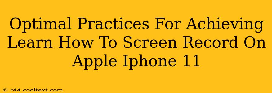 Optimal Practices For Achieving Learn How To Screen Record On Apple Iphone 11