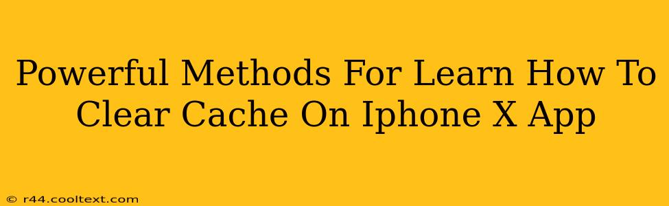 Powerful Methods For Learn How To Clear Cache On Iphone X App