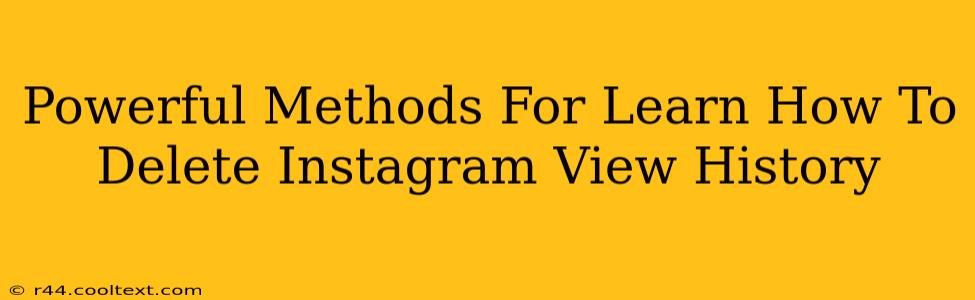 Powerful Methods For Learn How To Delete Instagram View History