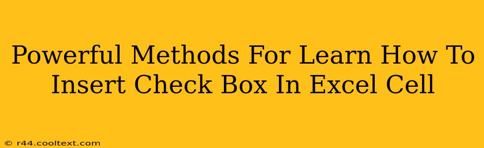 Powerful Methods For Learn How To Insert Check Box In Excel Cell