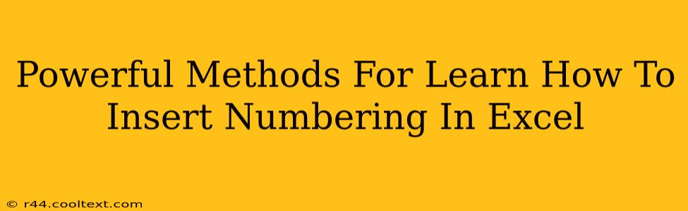 Powerful Methods For Learn How To Insert Numbering In Excel