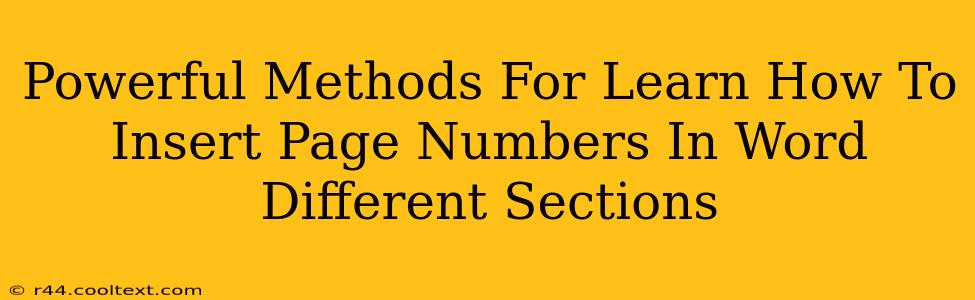 Powerful Methods For Learn How To Insert Page Numbers In Word Different Sections