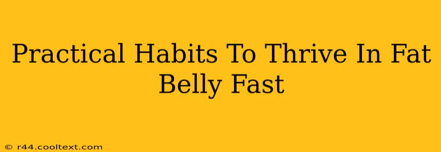 Practical Habits To Thrive In Fat Belly Fast