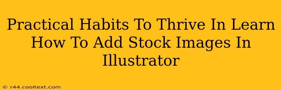 Practical Habits To Thrive In Learn How To Add Stock Images In Illustrator