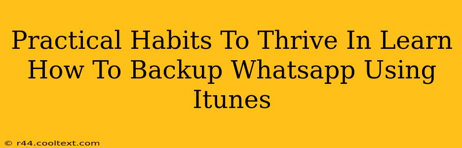 Practical Habits To Thrive In Learn How To Backup Whatsapp Using Itunes