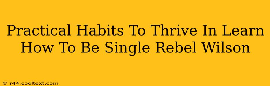 Practical Habits To Thrive In Learn How To Be Single Rebel Wilson